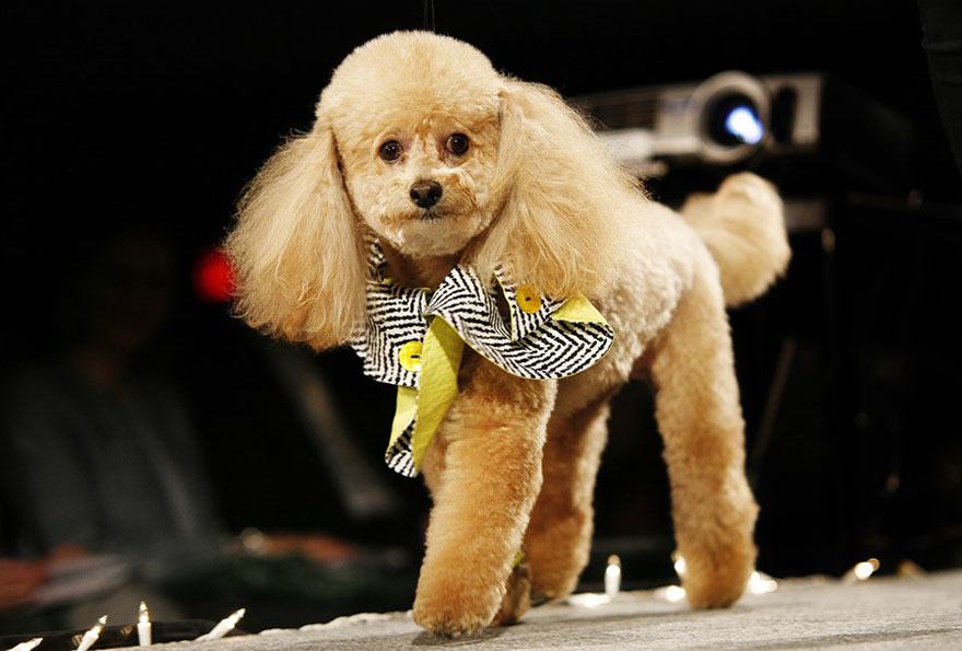 runway-1