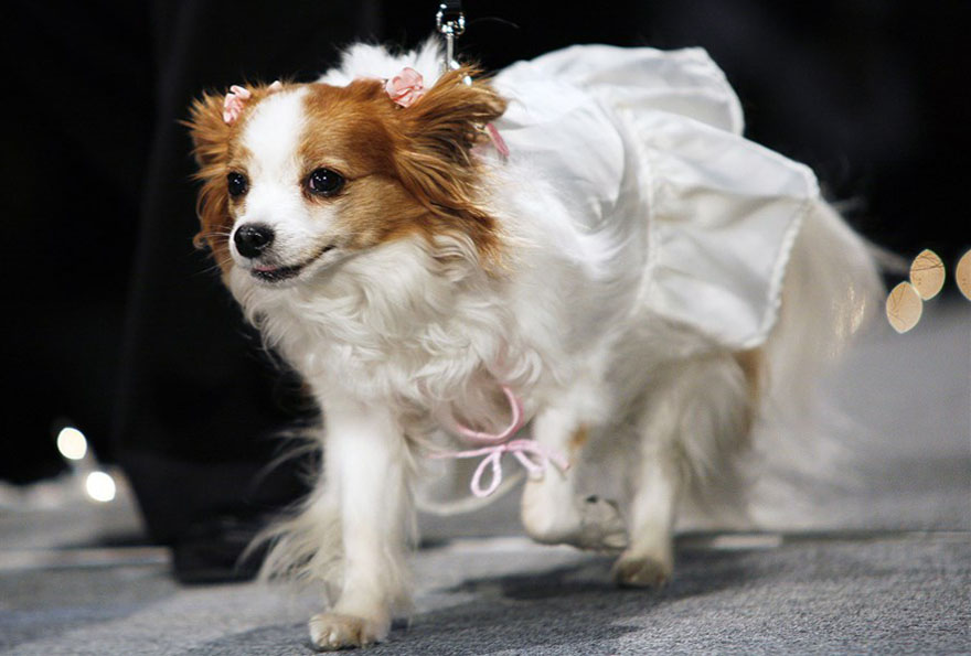 runway-2