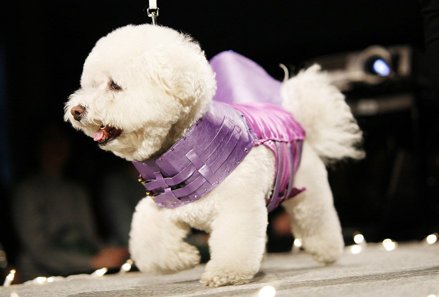 runway-4