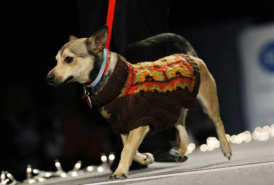 runway-5